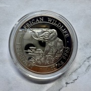 Stara Moneta Somalia 100 Szylingów Somalijki Słoń 2020 r.