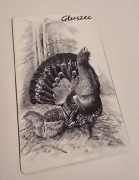 Magnes na lodówkę myśliwski GŁUSZEC polowanie Toki w Finlandii(30).