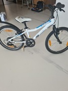 Rowerek Agang campo 20 cali