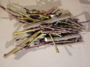 Gałązki drzew liściastych 1 kg (24,99 zł)