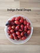 Indigo Peral Drops  