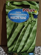 Fasola szparagowa karłowa "Marconi Nano" zielona