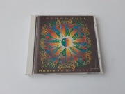 JETHRO TULL - ROOTS TO BRANCHES  CD Japan bez OBI Wyd. 1995 r. 