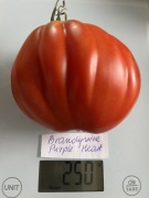 Pomidor Brandywine Purple Heart kolekcjonerskie nasiona