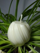 świeczka sojowa kula zakręcona mała 3D