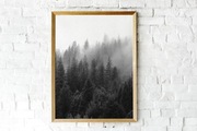 Plakat/Obraz ozdobny czarno biały A3 "Las"