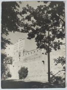 DRZEWICA RUINY ZAMKU 1527 - 1535