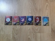 Karty Panini pełne drużyny 