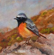 A.Giża PLESZKA obraz olejny 20/20 cm PTAK PTAKI DZKA NATURA 