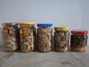 Maślaki marynowane w zalewie octowej