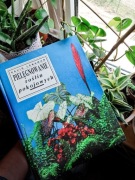 Pielęgnowanie roślin Pokojowych David Longman