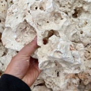 Skała Wapień Filipiński Kamień Akwarium Terrarium