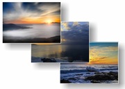 Plakaty obrazy 3szt. A3+ szerokość zestawu 145cm, wzory...