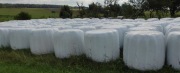 Sianokiszonka / siano.120/120. 250+70 szt.