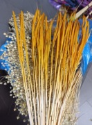 Tymotka żółta naturalna trawa susz na palmy