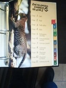 ENCYKLOPEDIA ZWIERZĄT KARTY (do uzupełnienia)