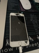 Telefon iphon 6S uszkodzony na części 
