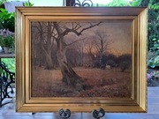 Obraz olejny na płótnie - "Stare drzewo" autorstwa M. Rausmusen