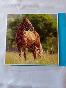 Kartki okolicznoścowe - haft diamentowy