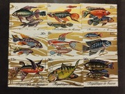 Znaczki Gwinea 1971 ryby