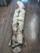 Kołnierz ze srebrnego lisa 