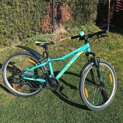 Rower Kellys Vaniti 10