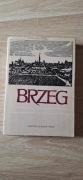 Brzeg dzieje gospodarka kultura