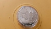Srebrne Monety Uncja Krugerrand Panda 