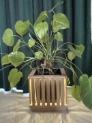 Doniczka dębowa, lite drewno, lamele 