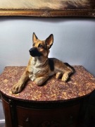 Duża figurka owczarek niemiecki, wilczur, realistyczna, dom, ogród