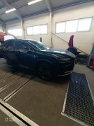 Dach Panorama Lexus RX V