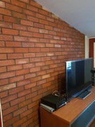 Promocja płytki ze środka cegły