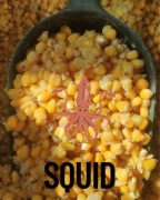 Kukurydza SQUID 1kg wędkarska zanęta gotowana