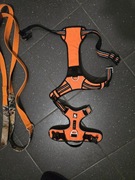 Szelki dla psa Truelove Frontline Easywalk L