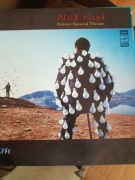 2LP- PINK FLOYD DELICATE SOUND OF THUNDER