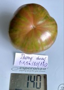 Pomidor Thong dwarf, kolekcjonerskie nasiona