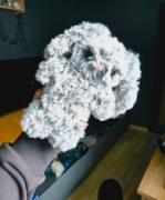 Maskotka na szydełku króliczek 