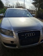 Audi a3 8p 1.9 tdi 