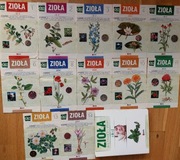 Zioła dla zdrowia i urody. Segregator 14 zeszytów.