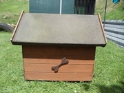 Buda dla psa, Odbiór osobisty