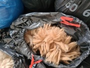 Runo - wełna surowa z alpak