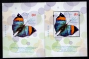 5372,A+B,Nowodruki,Motyle,ten sam numer