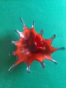 Patera dekoracyjna - piękna.  Huta SUDETY