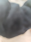 2500 kroków w dwie godziny 