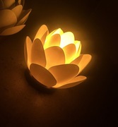 Lampka nocna/biurowa