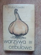 Warzywa cebulowe Małachowski PWRiL 1977