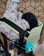 Nosidło nosidełko ergonomiczne womar zaffiro eco