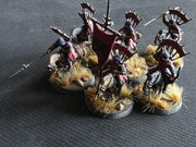 Lord of the Rings Haradrim Raiders