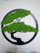 Piękny  obraz bonsai  mech chrobotek 50 cm