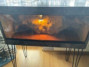 Terarium dla jaszczurki 